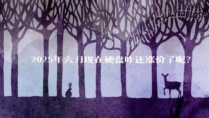 2025年六月现在硬盘咋还涨价了呢？