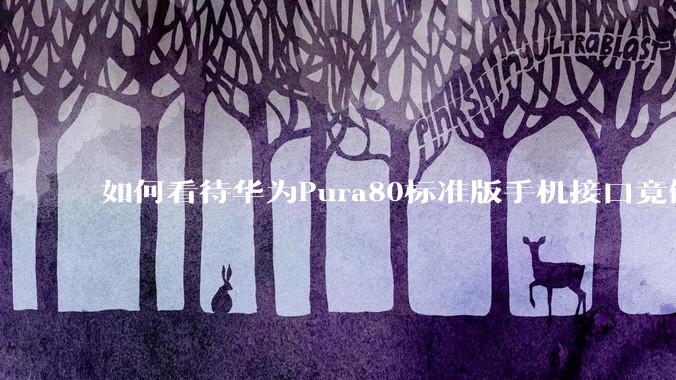 如何看待华为Pura80标准版手机接口竟倒退成USB 2.0？要是也烧了WIFI是不是不好备份数据？