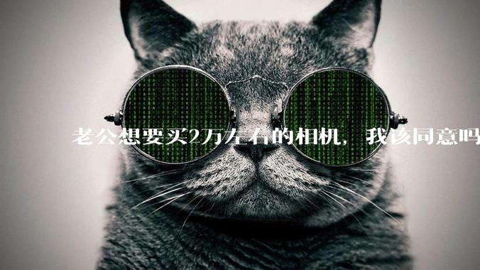 老公想要买2万左右的相机，我该同意吗？