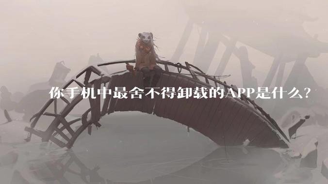 你手机中最舍不得卸载的APP是什么？