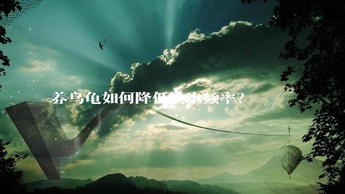 养乌龟如何降低换水频率？