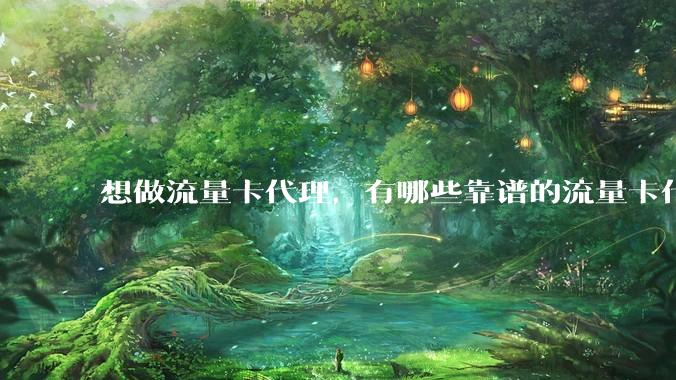 想做流量卡代理，有哪些靠谱的流量卡代理平台？